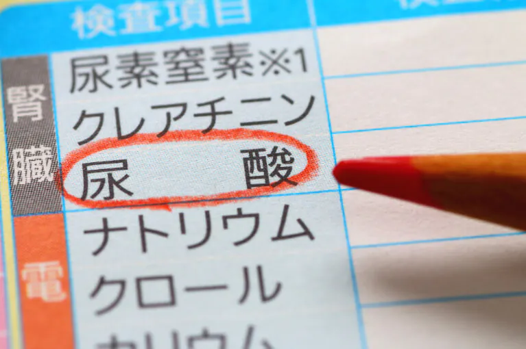 尿酸値が高い状態が続く高尿酸血症(痛風)